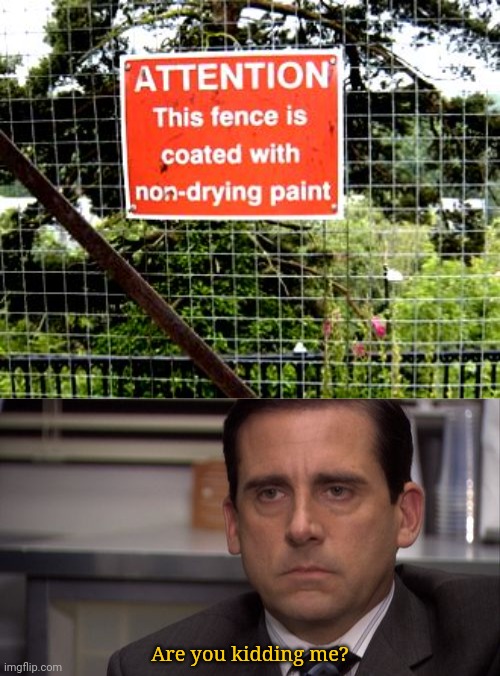 "Non-drying paint" | Are you kidding me? | image tagged in are you kidding me,fence,you had one job,memes,fences,paint | made w/ Imgflip meme maker