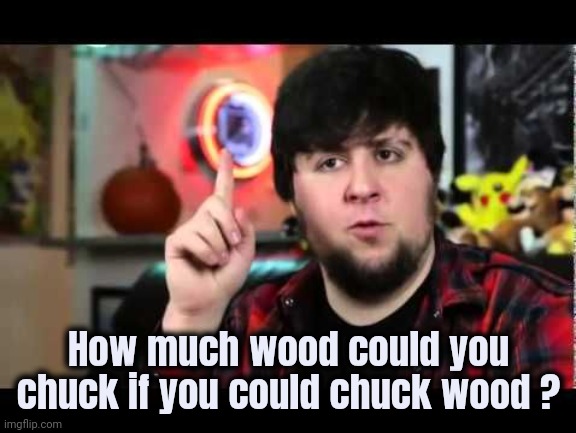 JonTron I have several questions | How much wood could you chuck if you could chuck wood ? | image tagged in jontron i have several questions | made w/ Imgflip meme maker