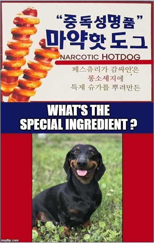 South Korean Street Food ! | WHAT'S THE SPECIAL INGREDIENT ? | image tagged in south korea,narcotic,hotdog,dark humour | made w/ Imgflip meme maker