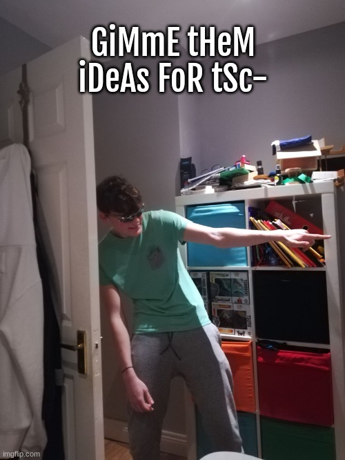 YEAH, GIMME TSC IDEAS. (yes, i found this temp funny enough) | GiMmE tHeM iDeAs FoR tSc- | image tagged in ha you simp,tsc,i need,ideas | made w/ Imgflip meme maker