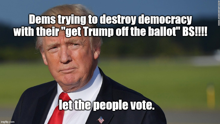 dems destroy democrasy | Dems trying to destroy democracy with their "get Trump off the ballot" BS!!!! let the people vote. | image tagged in donald trump | made w/ Imgflip meme maker