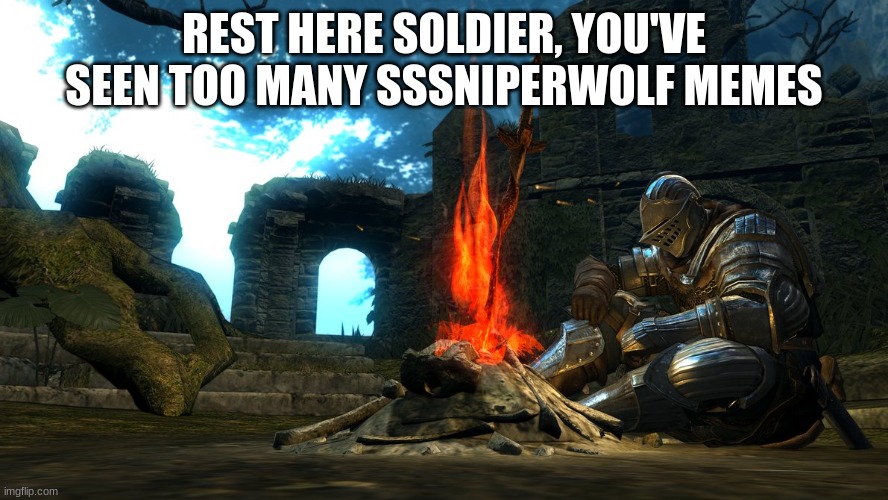 I'll take a break from doing it once in a while. | REST HERE SOLDIER, YOU'VE SEEN TOO MANY SSSNIPERWOLF MEMES | image tagged in dark souls bonfire rest | made w/ Imgflip meme maker