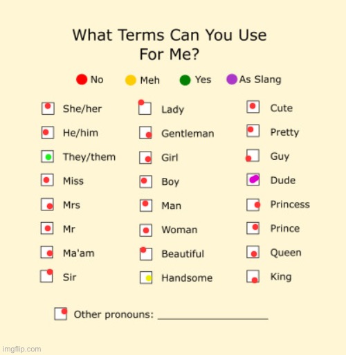 Pronouns Sheet | image tagged in pronouns sheet | made w/ Imgflip meme maker