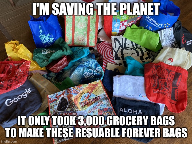 Virtue This | I'M SAVING THE PLANET; IT ONLY TOOK 3,000 GROCERY BAGS TO MAKE THESE RESUABLE FOREVER BAGS | image tagged in pollution,planet,recycle,math | made w/ Imgflip meme maker