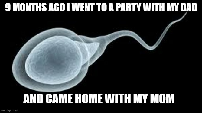 meme by brad the facts of life | 9 MONTHS AGO I WENT TO A PARTY WITH MY DAD; AND CAME HOME WITH MY MOM | image tagged in fun,funny,sperm,pregnant woman,humor,funny meme | made w/ Imgflip meme maker