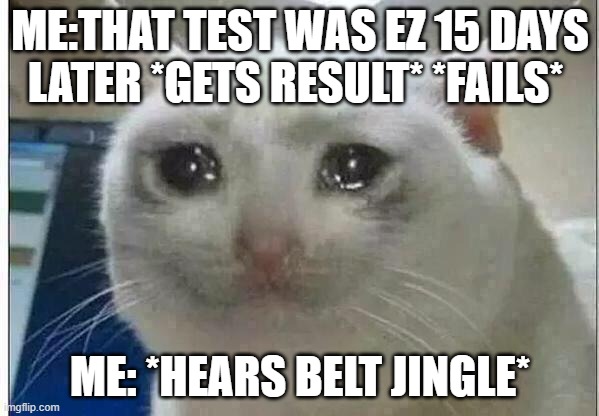 crying cat | ME:THAT TEST WAS EZ 15 DAYS LATER *GETS RESULT* *FAILS*; ME: *HEARS BELT JINGLE* | image tagged in crying cat | made w/ Imgflip meme maker