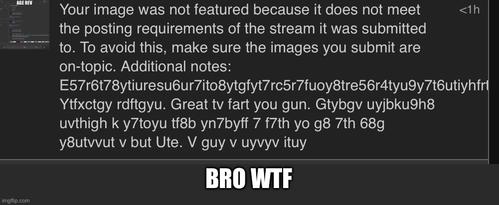 Rftgyu | BRO WTF | image tagged in cvbhj | made w/ Imgflip meme maker