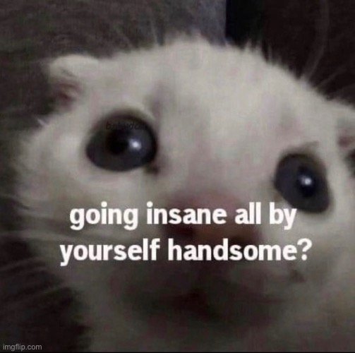 Indeed I am | made w/ Imgflip meme maker