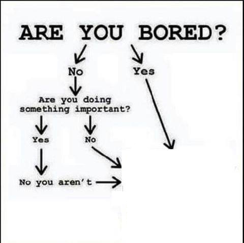 Are you bored flow chart Blank Meme Template