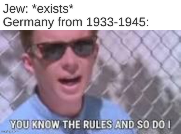 You know the rules and so do I | Jew: *exists*
Germany from 1933-1945: | image tagged in you know the rules and so do i,germany,history | made w/ Imgflip meme maker