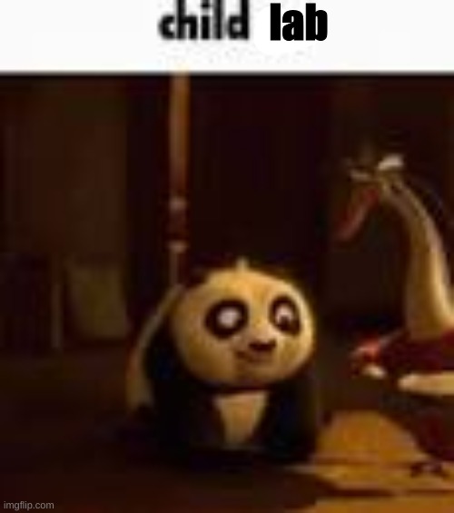 child po | lab | image tagged in child po | made w/ Imgflip meme maker