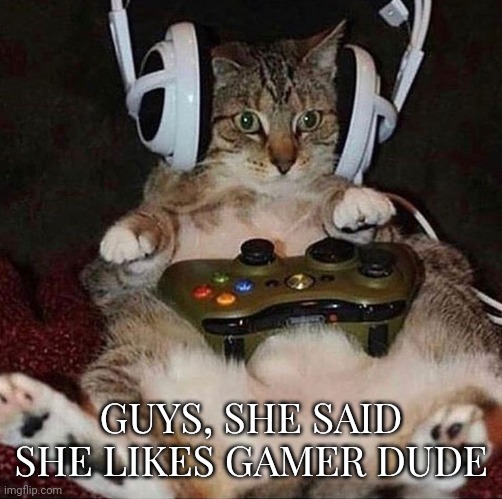 Gamer  Dude | GUYS, SHE SAID SHE LIKES GAMER DUDE | image tagged in gamer,memes,cats,gaming | made w/ Imgflip meme maker