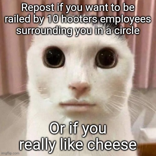 Real | Repost if you want to be railed by 10 hooters employees surrounding you in a circle; Or if you really like cheese | image tagged in my honest reaction | made w/ Imgflip meme maker