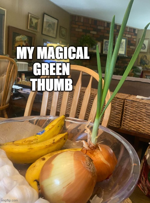 Magical Green Thumb | GREEN THUMB; MY MAGICAL | image tagged in magical green thumb | made w/ Imgflip meme maker