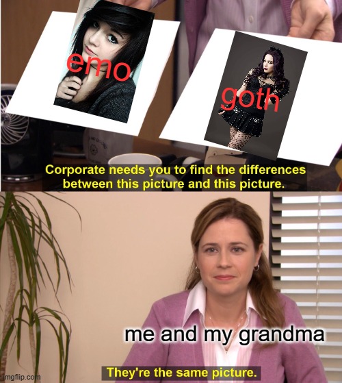 ??? | emo; goth; me and my grandma | image tagged in memes,they're the same picture | made w/ Imgflip meme maker