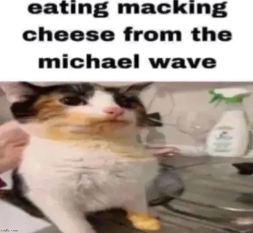 Michael wave ? | made w/ Imgflip meme maker