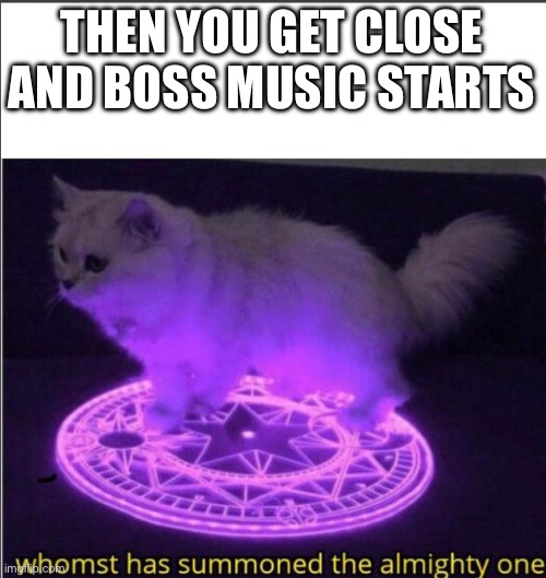 Who has summoned the almighty one | THEN YOU GET CLOSE AND BOSS MUSIC STARTS | image tagged in who has summoned the almighty one | made w/ Imgflip meme maker