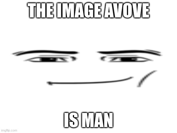 man | THE IMAGE AVOVE; IS MAN | image tagged in batman slapping robin | made w/ Imgflip meme maker