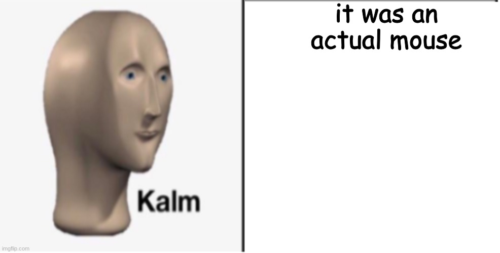 Just Kalm. | it was an actual mouse | image tagged in just kalm | made w/ Imgflip meme maker