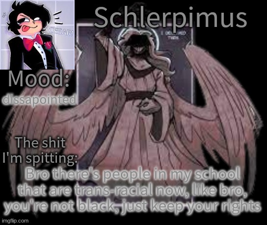 Schlerpimus Announcement Temp | dissapointed; Bro there's people in my school that are trans-racial now, like bro, you're not black, just keep your rights | image tagged in schlerpimus announcement temp | made w/ Imgflip meme maker