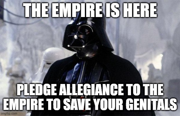 Darth Vader | THE EMPIRE IS HERE; PLEDGE ALLEGIANCE TO THE EMPIRE TO SAVE YOUR GENITALS | image tagged in darth vader | made w/ Imgflip meme maker