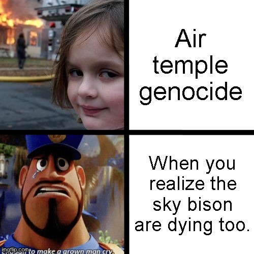 image tagged in appa,airtemple,atla,genocide,meme,avatar the last airbender | made w/ Imgflip meme maker