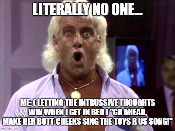 Ric flair friday | LITERALLY NO ONE... ME: ( LETTING THE INTRUSSIVE THOUGHTS WIN WHEN I GET IN BED ) "GO AHEAD, MAKE HER BUTT CHEEKS SING THE TOYS R US SONG!" | image tagged in ric flair friday | made w/ Imgflip meme maker