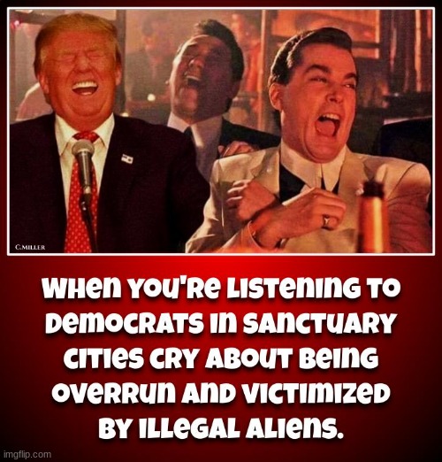 Oh the irony! | image tagged in sanctuary cities,government corruption,crying democrats,politics | made w/ Imgflip meme maker