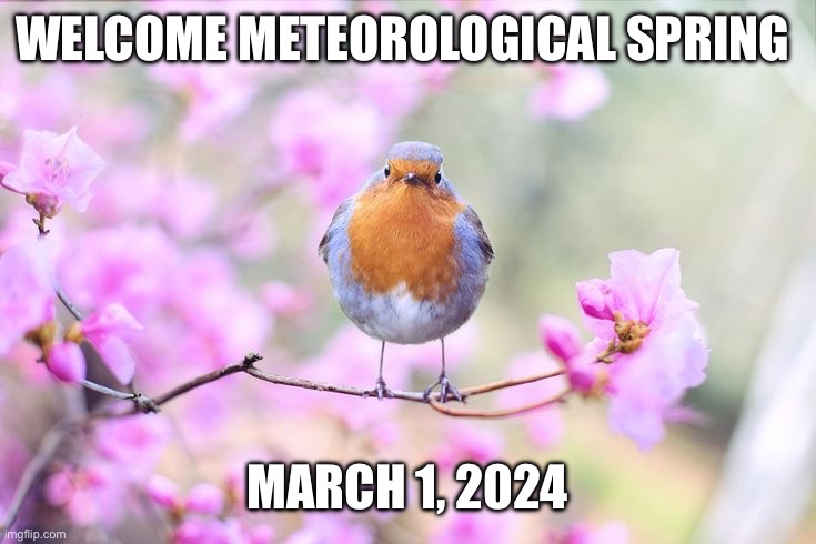 Meteorological Spring | WELCOME METEOROLOGICAL SPRING; MARCH 1, 2024 | image tagged in spring | made w/ Imgflip meme maker