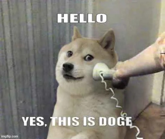 Hello, Yes this is doge | made w/ Imgflip meme maker