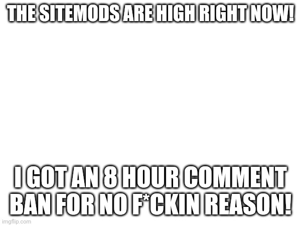 WHY?! | THE SITEMODS ARE HIGH RIGHT NOW! I GOT AN 8 HOUR COMMENT BAN FOR NO F*CKIN REASON! | image tagged in rant | made w/ Imgflip meme maker