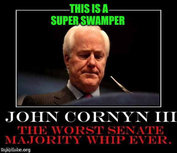Mitch Lite | THIS IS A
SUPER SWAMPER | image tagged in cornyn,funny memes,memes | made w/ Imgflip meme maker