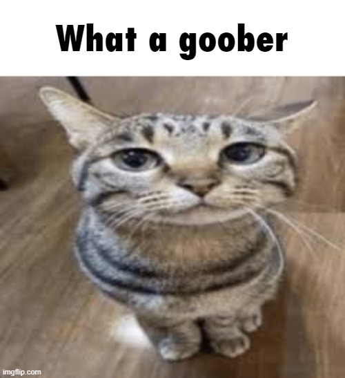 What a goober | made w/ Imgflip meme maker