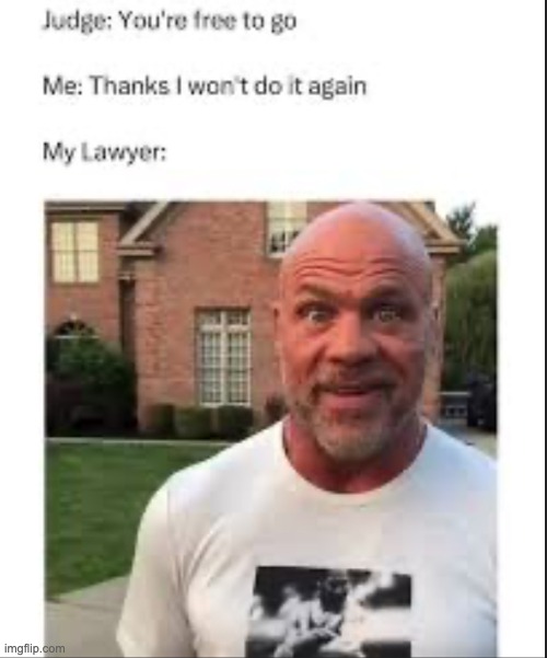 Something I would probably do, because im an idiot. | image tagged in bruh,stupid,lawyer | made w/ Imgflip meme maker