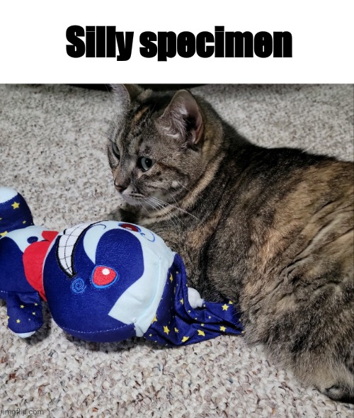 Silly specimen | made w/ Imgflip meme maker