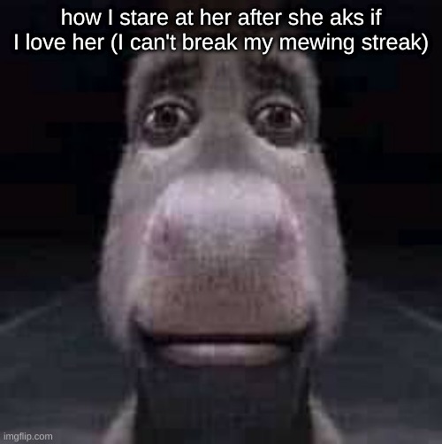 Donkey staring | how I stare at her after she aks if I love her (I can't break my mewing streak) | image tagged in donkey staring | made w/ Imgflip meme maker