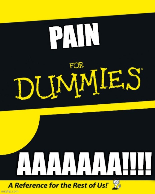 For Dummies | PAIN; AAAAAAA!!!! | image tagged in for dummies | made w/ Imgflip meme maker