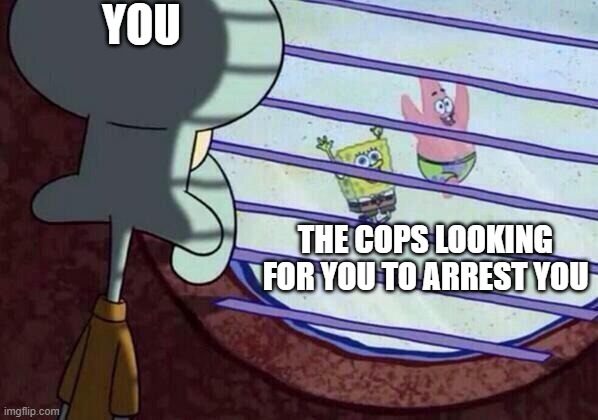 the cops are coming | YOU; THE COPS LOOKING FOR YOU TO ARREST YOU | image tagged in squidward window,cops,police | made w/ Imgflip meme maker