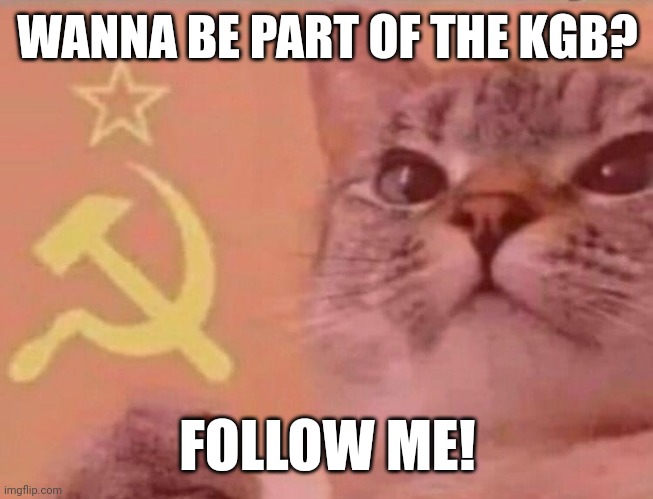 the triumph of communism is inevitable | WANNA BE PART OF THE KGB? FOLLOW ME! | image tagged in soviet cat | made w/ Imgflip meme maker