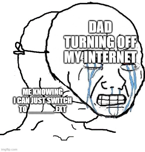 Trick you should use | DAD TURNING OFF MY INTERNET; ME KNOWING I CAN JUST SWITCH TO ______.EXT | image tagged in wojak mask | made w/ Imgflip meme maker