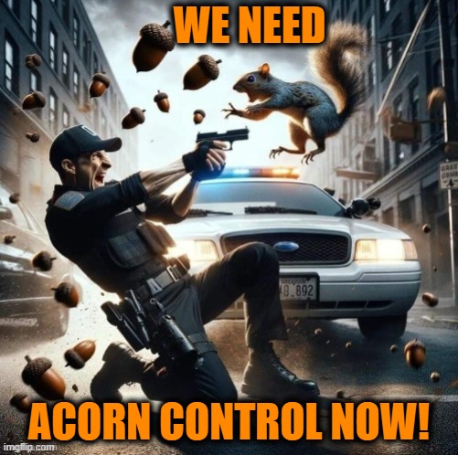 NUTS are Dangerous | WE NEED; ACORN CONTROL NOW! | image tagged in cops,gun control,guns | made w/ Imgflip meme maker