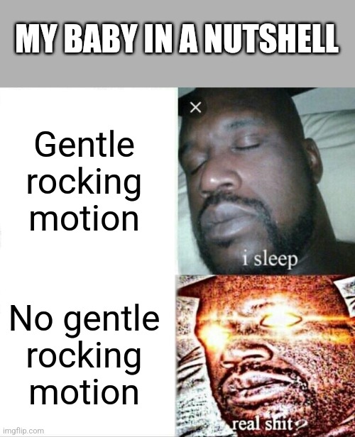 Sleeping Shaq Meme | MY BABY IN A NUTSHELL; Gentle rocking motion; No gentle rocking motion | image tagged in memes,sleeping shaq | made w/ Imgflip meme maker