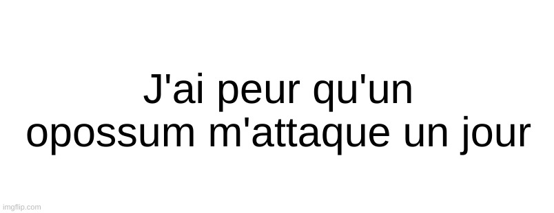yes i used translate, im not smart | J'ai peur qu'un opossum m'attaque un jour | made w/ Imgflip meme maker