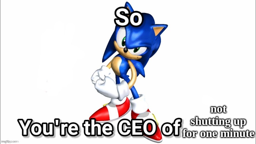when someones talks for too long | not shutting up for one minute | image tagged in so you're the ceo of,sonic the hedgehog,sonic | made w/ Imgflip meme maker