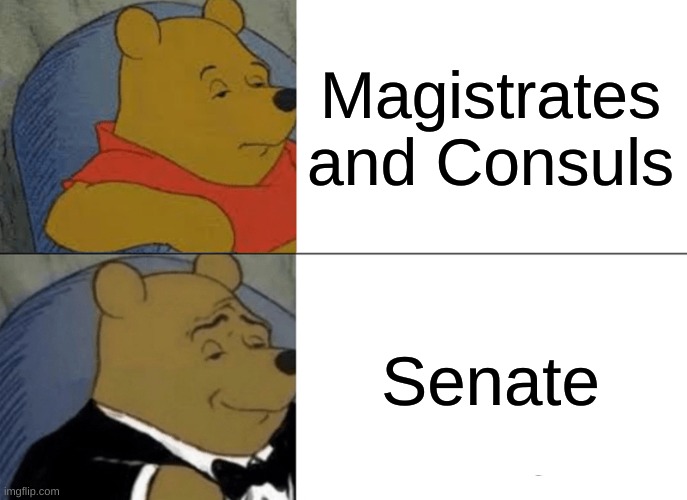 Roman meme | Magistrates and Consuls; Senate | image tagged in memes,tuxedo winnie the pooh | made w/ Imgflip meme maker