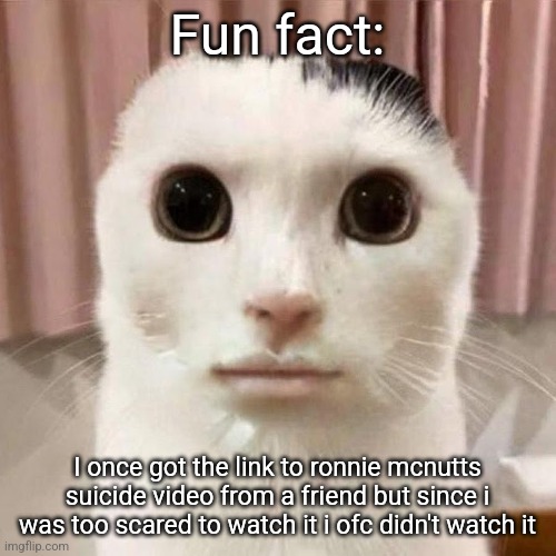 My honest reaction | Fun fact:; I once got the link to ronnie mcnutts suicide video from a friend but since i was too scared to watch it i ofc didn't watch it | image tagged in my honest reaction | made w/ Imgflip meme maker