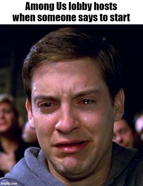 I get it but they take it too serious | Among Us lobby hosts when someone says to start | image tagged in crying peter parker,fun,among us | made w/ Imgflip meme maker