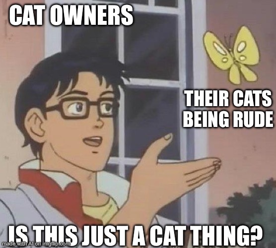 cats cats cats | CAT OWNERS; THEIR CATS BEING RUDE; IS THIS JUST A CAT THING? | image tagged in is this butterfly | made w/ Imgflip meme maker