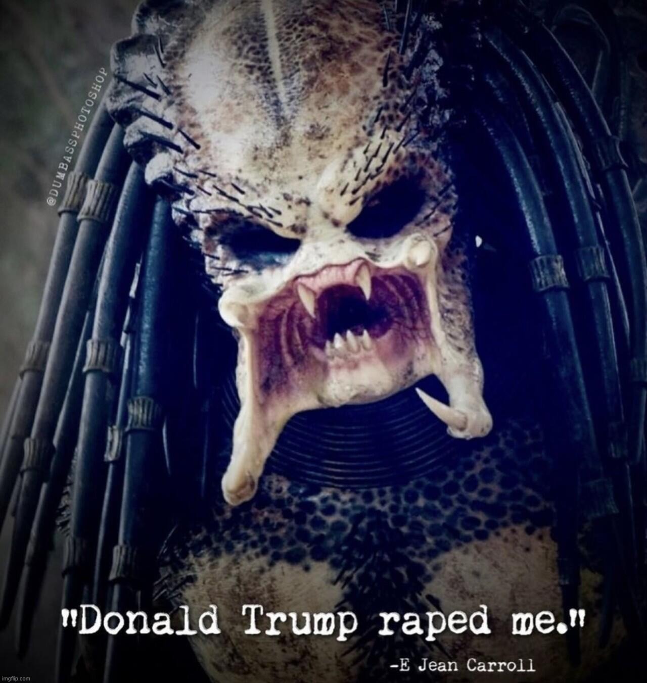 "Donald Trump raped me." ~E Jean Carroll | image tagged in grab them by the pussy,e jean carroll,skank,ugly face,triggered liberal,triggered feminist | made w/ Imgflip meme maker