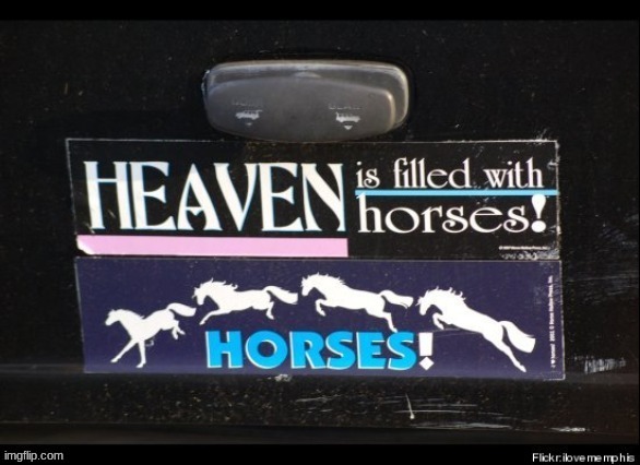 I know a guy in Heaven that was filled by a horse | made w/ Imgflip meme maker